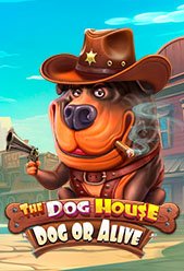 The Dog House - Dog or Alive